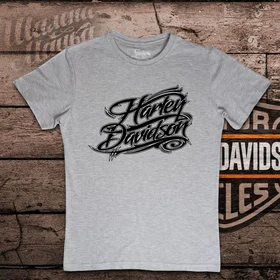 Прикольные футболки: Harley Davidson 025 Grey